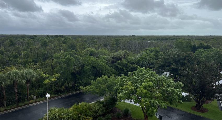 Estuary & Mangroves